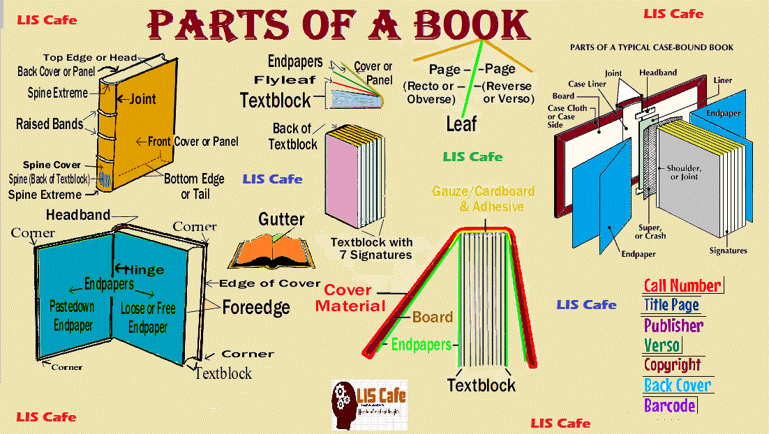 Book Review план. Book Parts. Types of books таблица. Vocabulary книжка. A lot of vocabulary