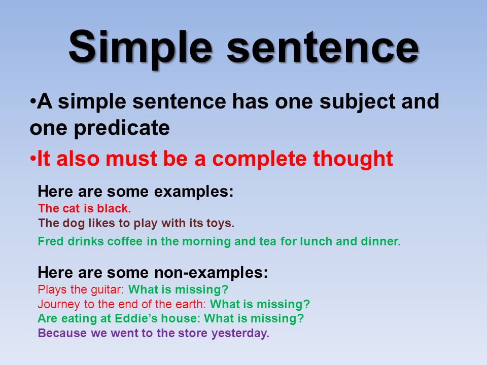 Simple Sentence In English For Beginners