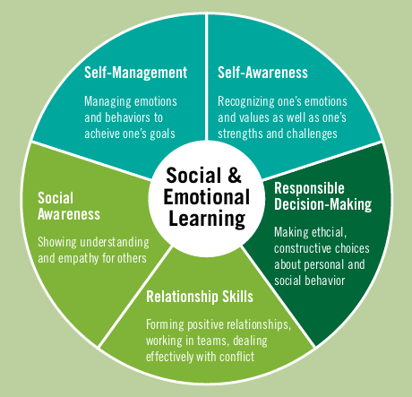 Society behavior. Self менеджмент. What are social-Emotional skills. Social Behavior. Social and Emotional skills.