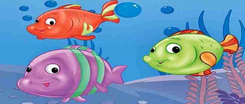 Fish story for children