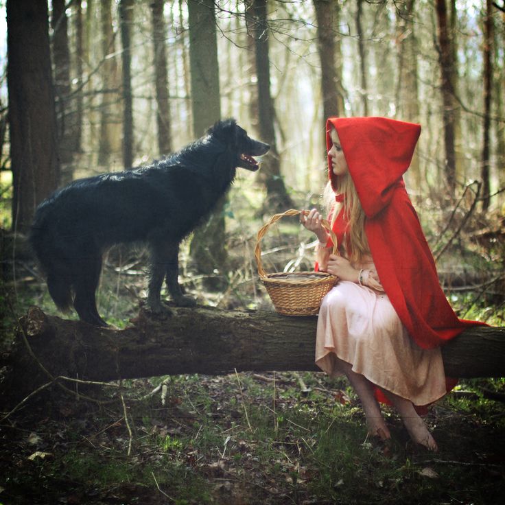 Wolf riding hood