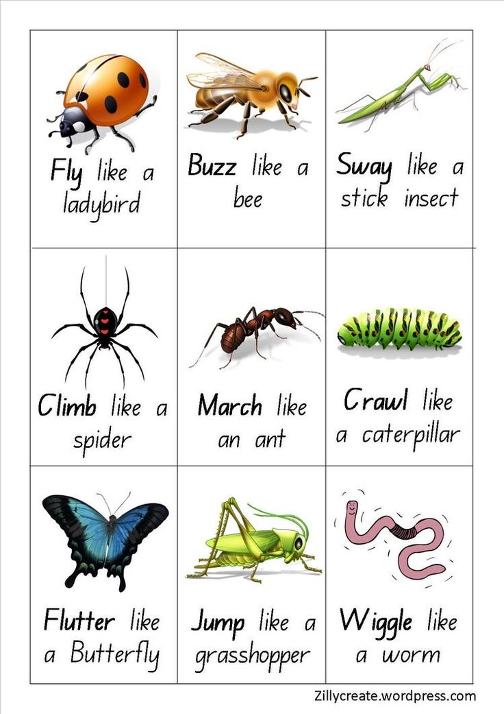 Insect stories for preschoolers