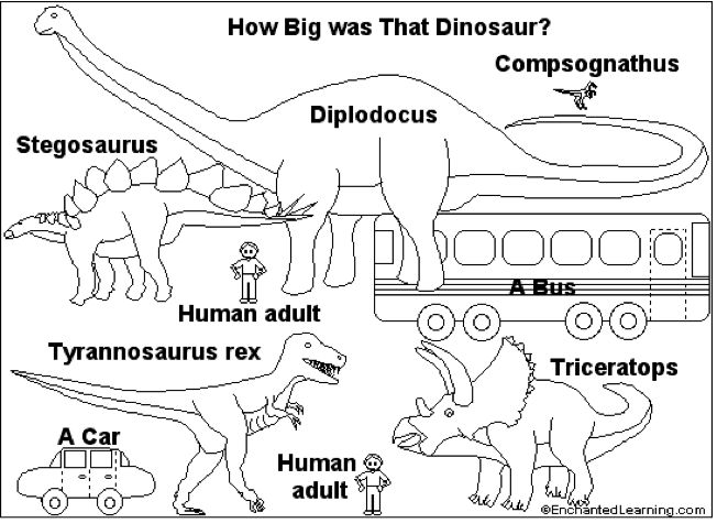 Best dinosaur books for 8 year olds
