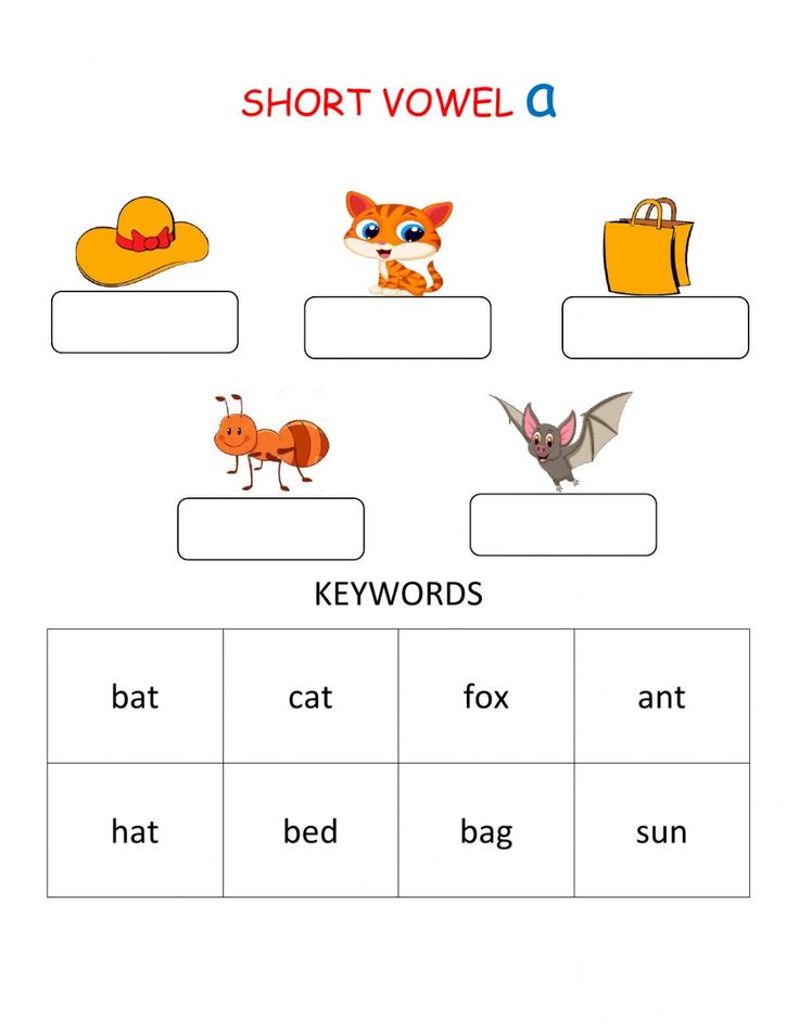 What are short vowel sounds