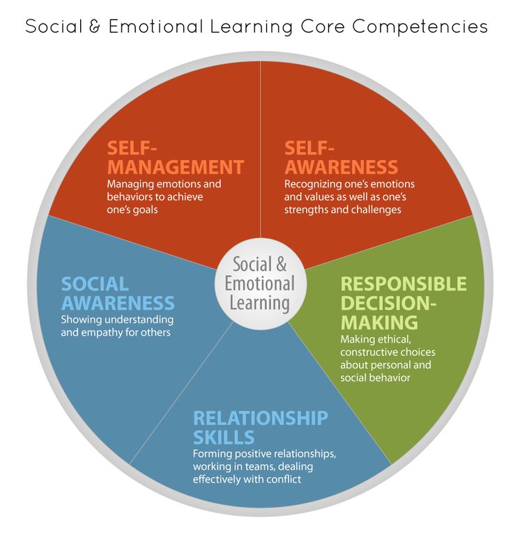 Importance of social emotional development