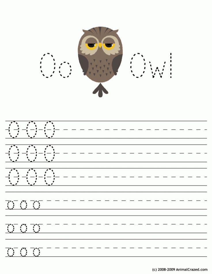 Letter o owl
