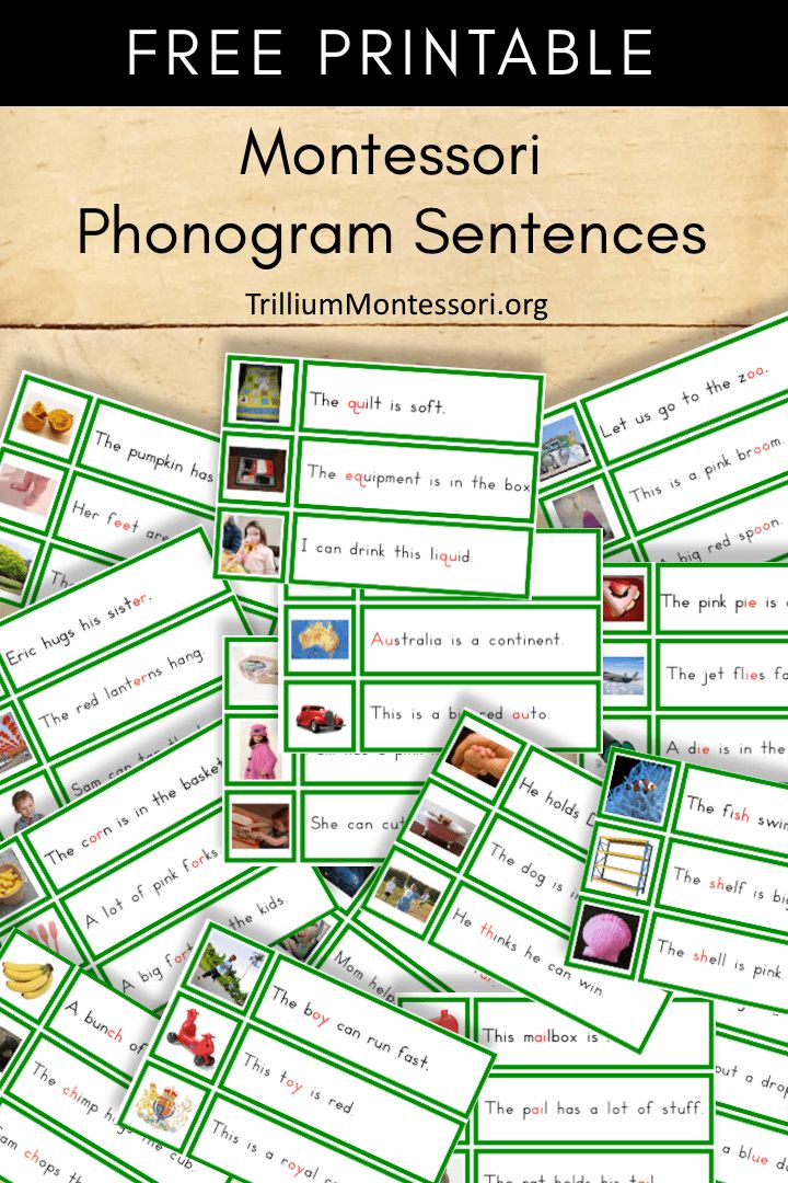 What is a phonogram