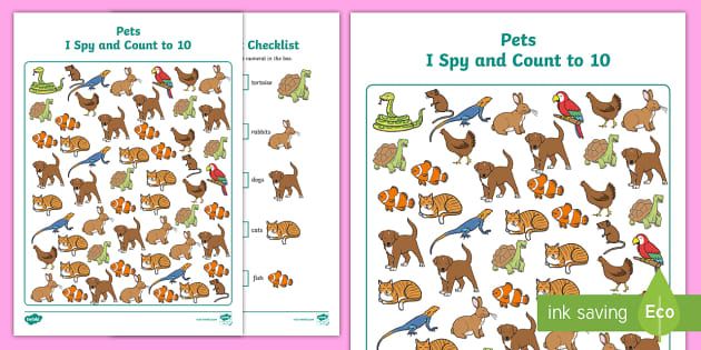 Pet activities. How many animals for Kids. I Spy Pets. Find and count animals. Animals counting Worksheets for Kids.