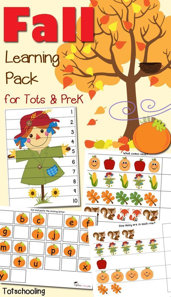 Fall learning activities