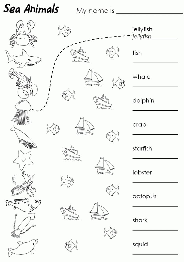 Vocabulary activities for 1st graders
