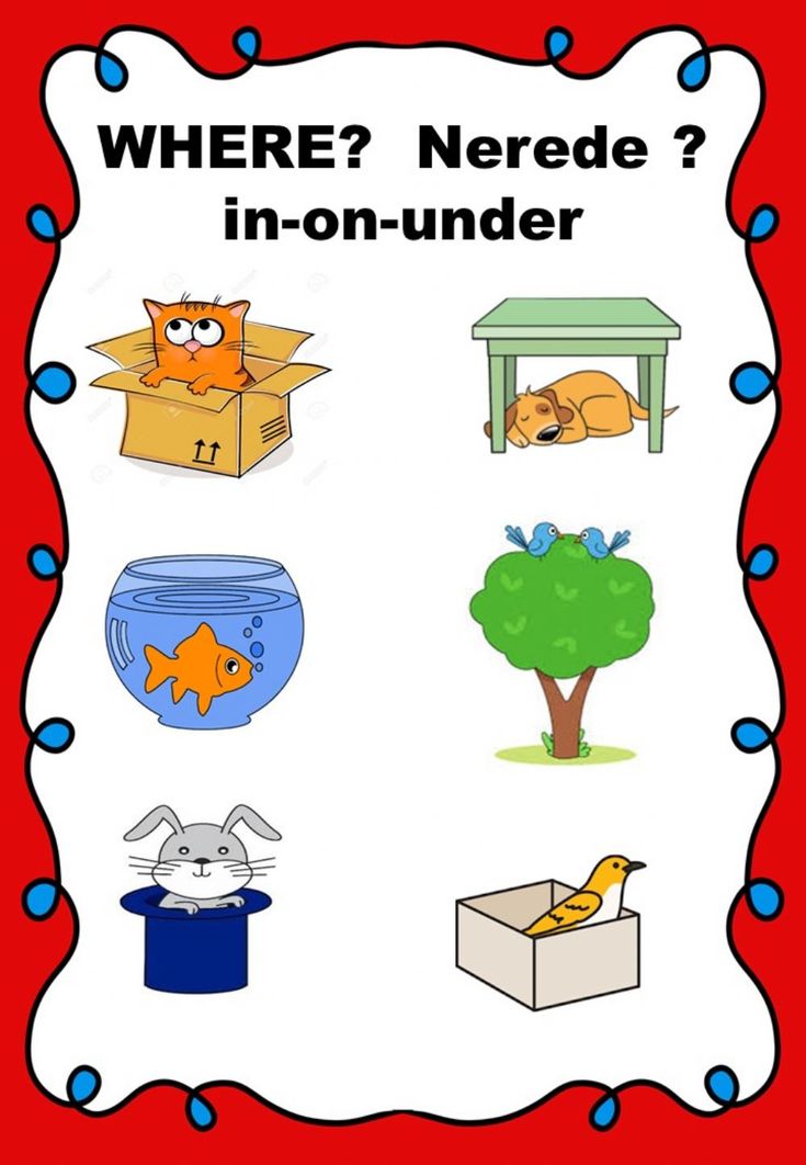 Preposition for kindergarten