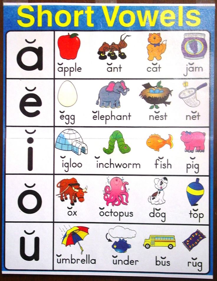 Long and short vowel sounds symbols