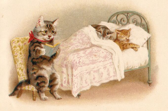 Bedtime story cat