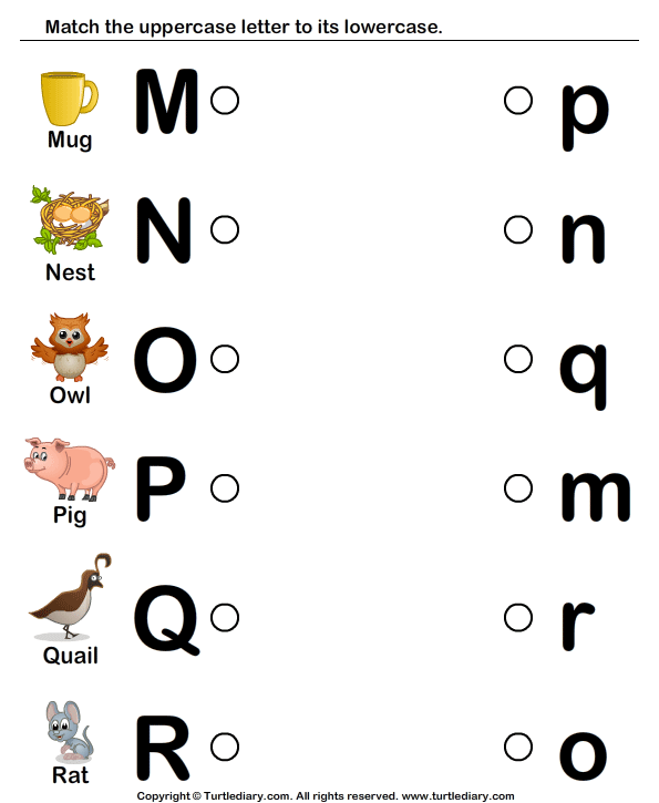 Alphabet letters for children