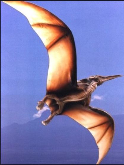 How to make a pterodactyl