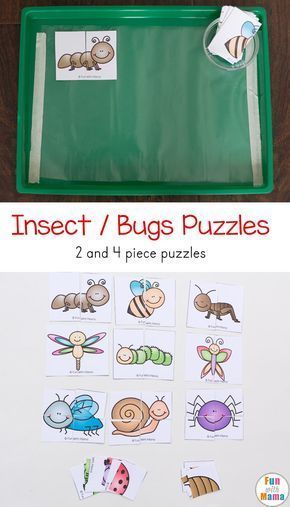 Bugs for toddlers