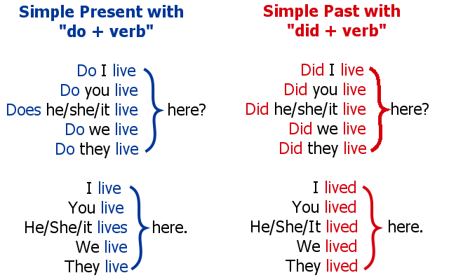 Was were didn t have had. Do в паст Симпл. To do в паст Симпл. Глагол do в past simple в английском языке. Глагол to Live в present simple.