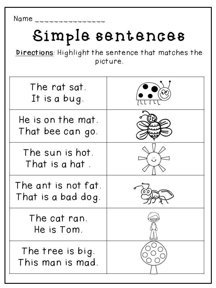 Phrases And Sentences Worksheets With Answers Pdf