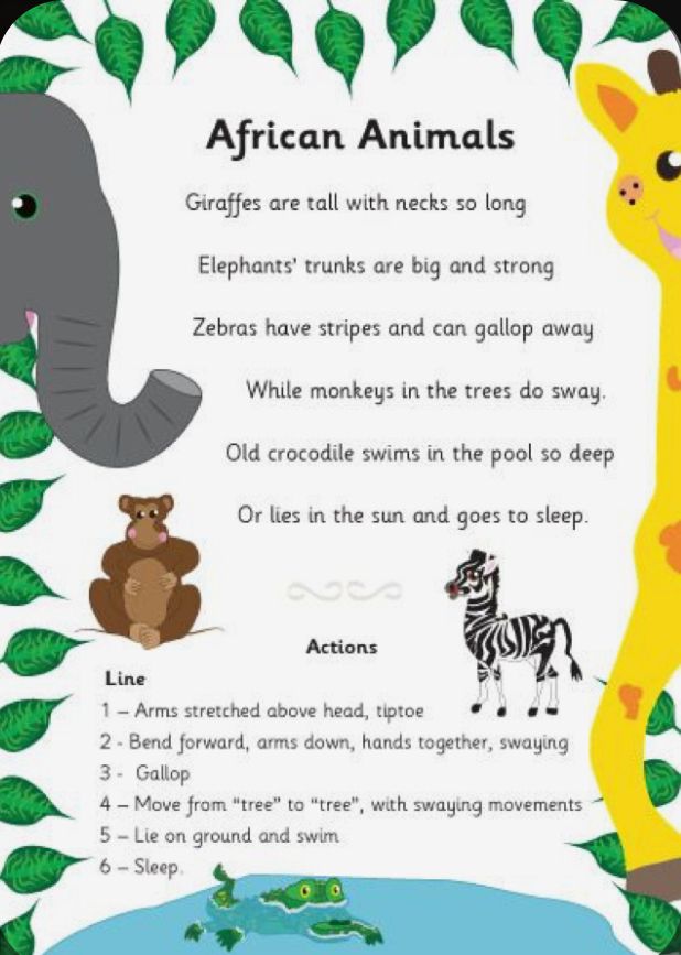 Wildlife text. Poem about animals. Reading about animals for Kids. Poems about animals for Kids. Short poems about animals for Kids.