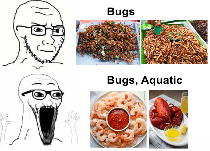 Show me all the bugs