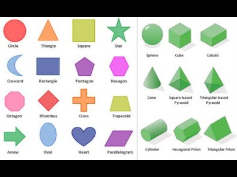 What are the different types of shapes