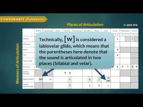 Definition of alphabetic principle