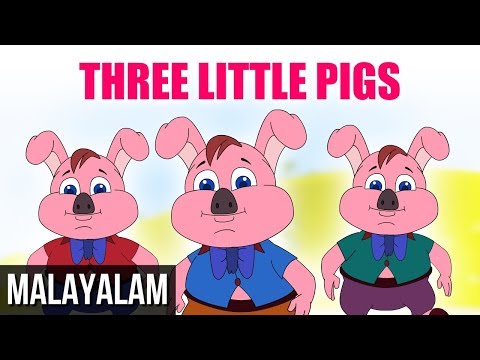 The three little pigs tale