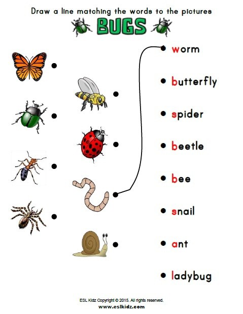 Баг на английском. Английский насекомые задания. Насекомые на английском для детей. Насекомые задания для дошкольников. Насекомые на английском языке упражнения.