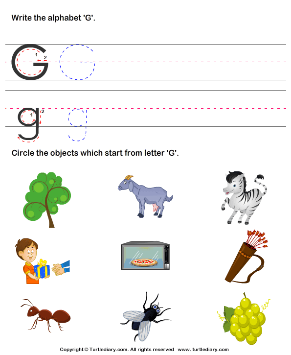 Items with letter g