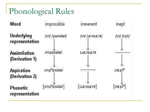 Examples of phonology