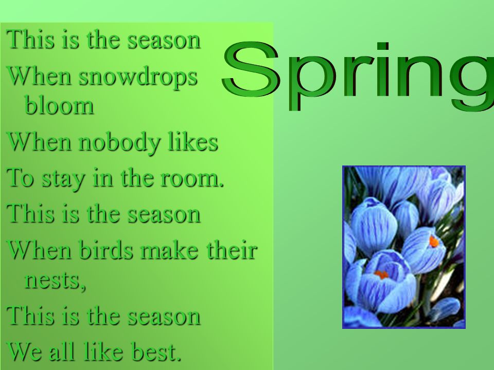 Spring с английского на русский. Seasons презентация. Презентация на английском Seasons. Стих Seasons.