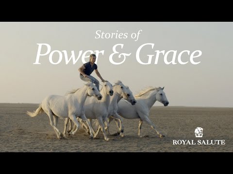 Story about horses