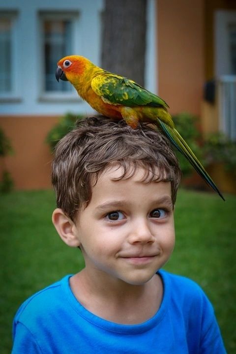 Parrot and me