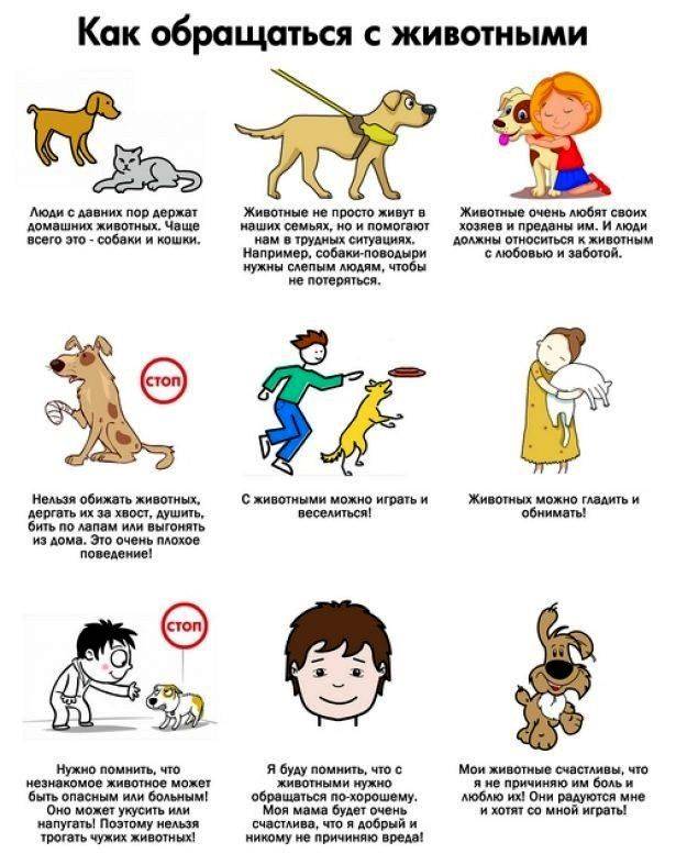 Dog story kids