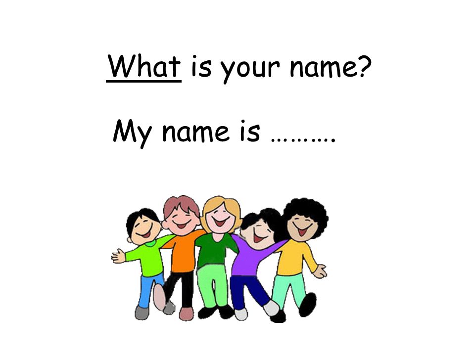 What's your sign song - What's Your Name Whats Your Sign What's Your Birthday