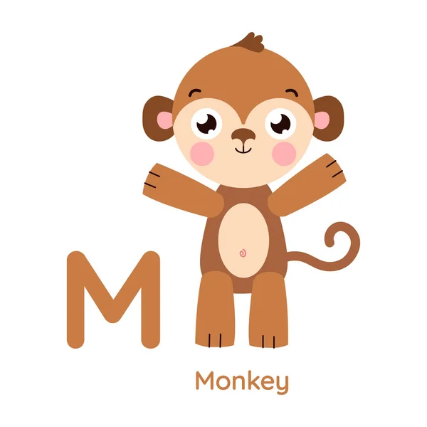 Letter m for monkey