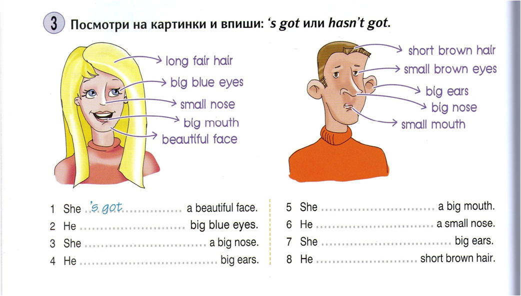 Look me in my face. Внешность по английскому. Картинки для описания внешности. Описание внешности на англ. Описание внешности на английском упражнения.