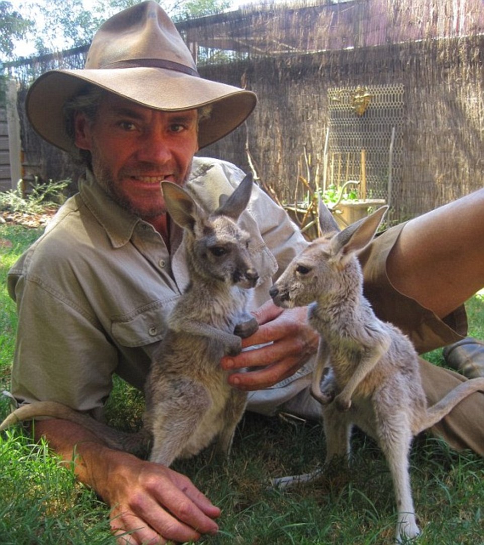 Are baby kangaroos called joeys